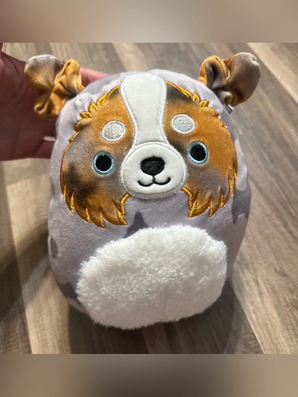 Kellytoys Squishmallows Plush 8" Raylor the Australian Shepherd Dog